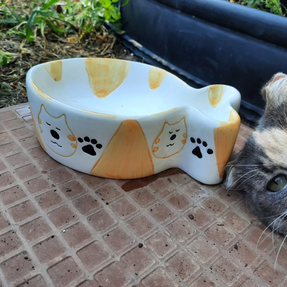 Ceramic pet dish